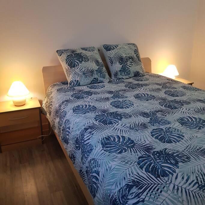 Chez Nino Wifi Gratuit Villa Beaulieu-sur-Loire Екстериор снимка