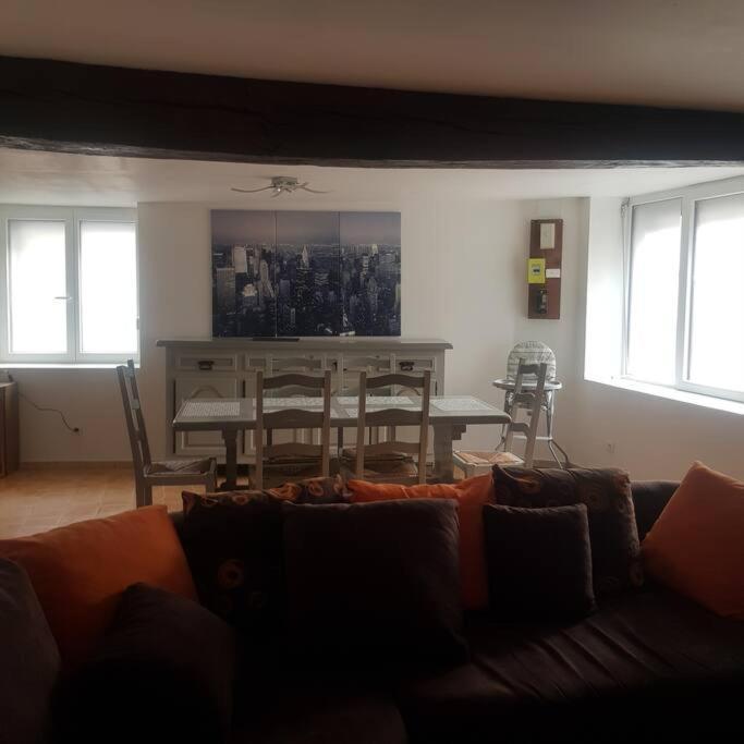 Chez Nino Wifi Gratuit Villa Beaulieu-sur-Loire Екстериор снимка