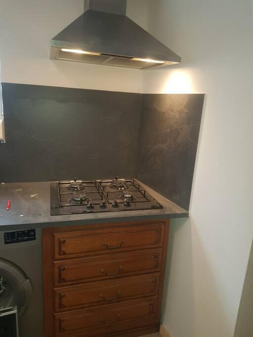 Chez Nino Wifi Gratuit Villa Beaulieu-sur-Loire Екстериор снимка